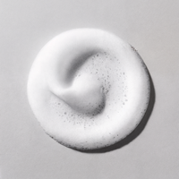 Pha & Saponaria Purifying Foaming Facial Cleanser
